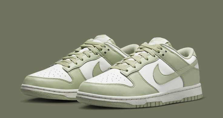 Nike cheetah Dunk Low Next Nature HF5384 300 01 736x392