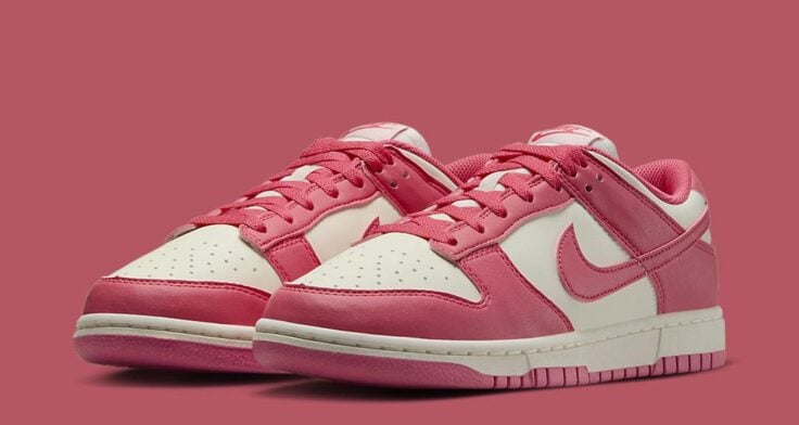 Nike Dunk Low Next Nature WMNS "Aster Pink" DD1873-600