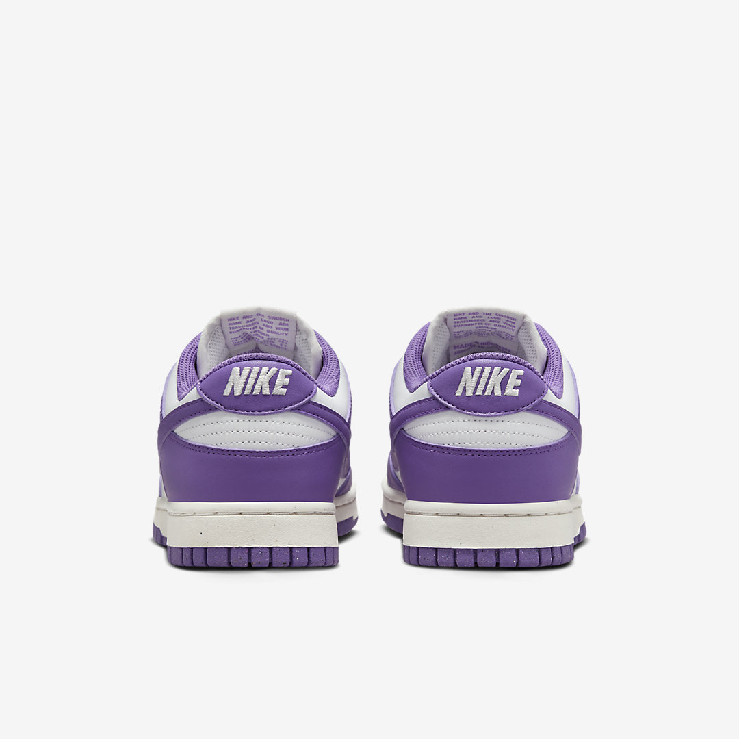 Nike Dunk Low Next Nature WMNS DD1873-108