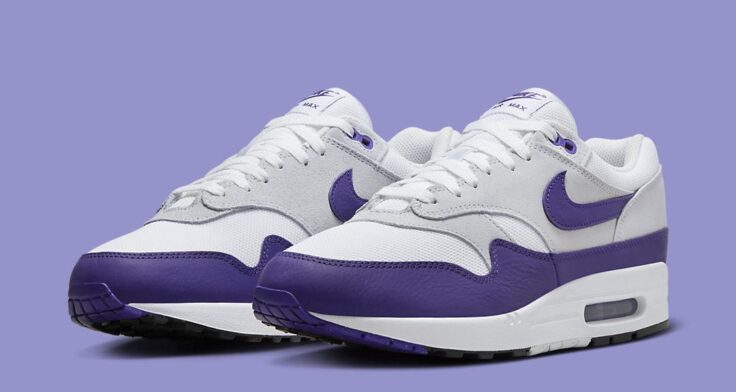 Nike color Air Max 1 Field Purple DZ4549 101 01 736x392