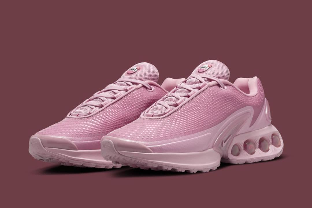 Nike Air Max Dn WMNS Elemental Pink HV4861 600 Nice Kicks