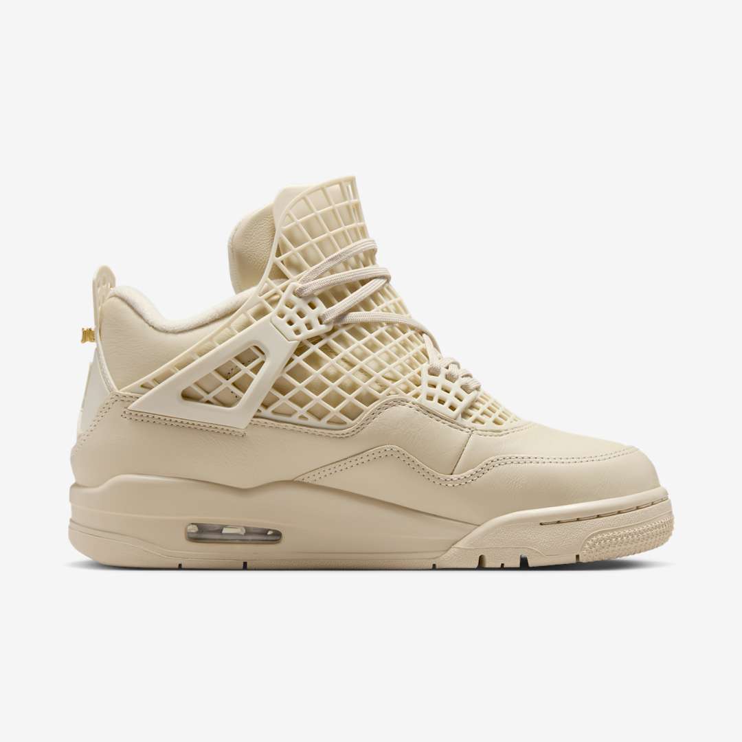 Air Jordan 4 WMNS NET FN7251-200