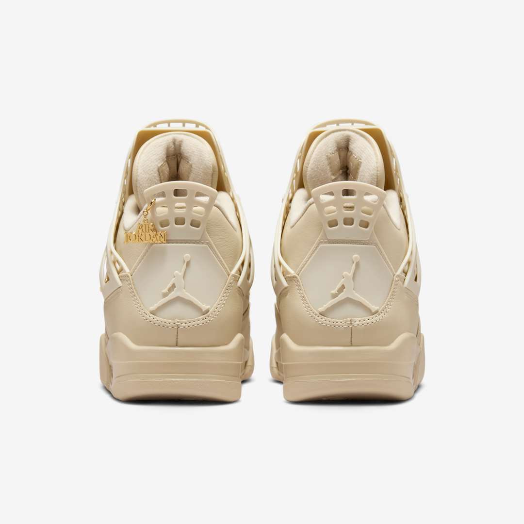 Air Jordan 4 WMNS NET FN7251-200