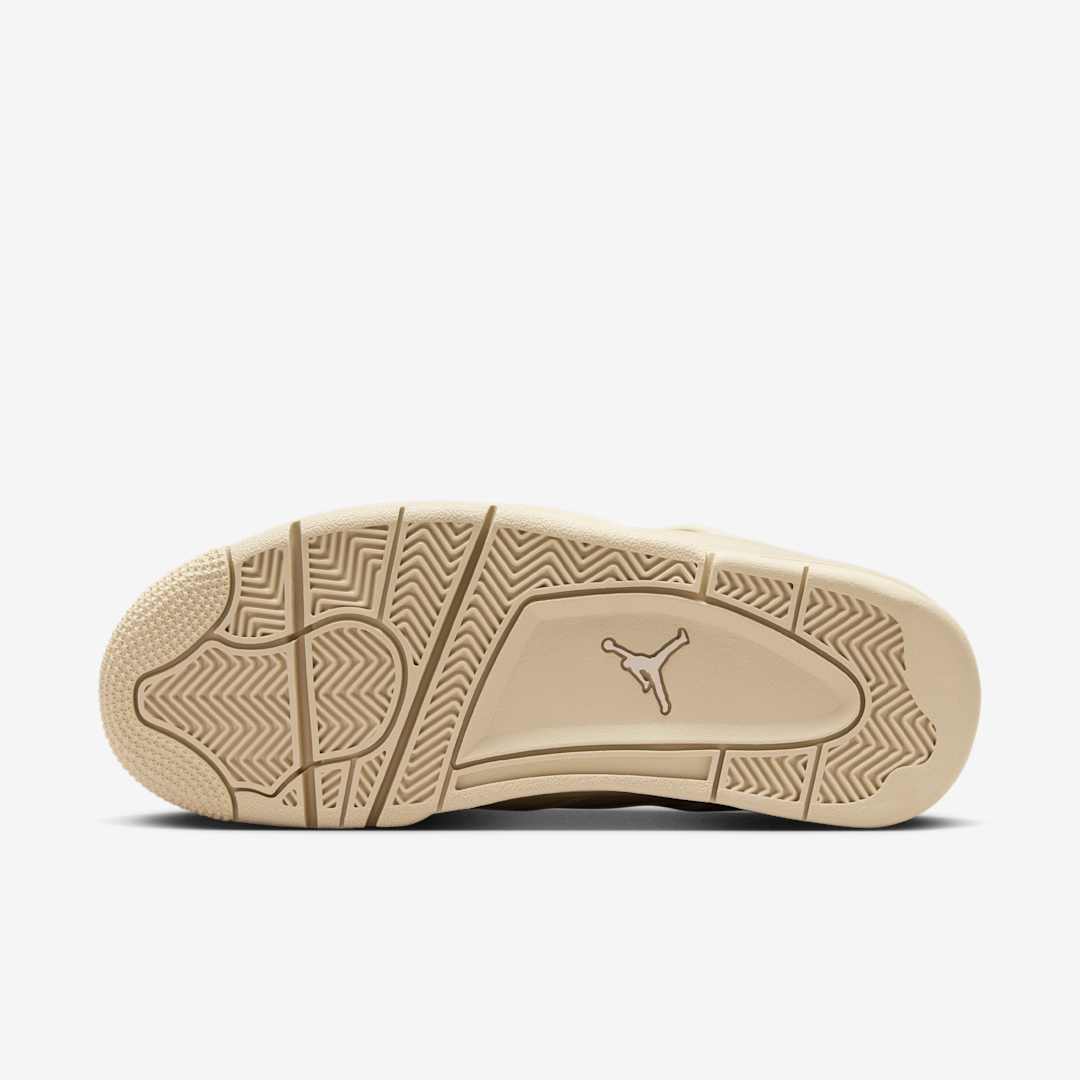 Air Jordan 4 WMNS NET FN7251-200